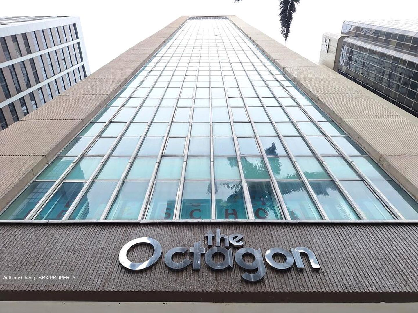 The Octagon (D1), Office #460652081